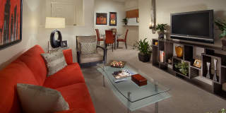 San Hacienda by Mark-Taylor Gallery 11
