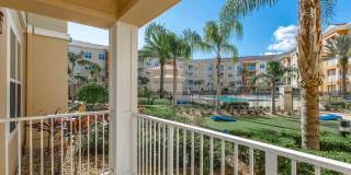 RIZE at Winter Springs Gallery 71