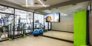 iLuminate Gallery 19