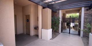 704 Peachy Canyon Circle Gallery 35
