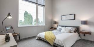Janus Apartments Gallery 2