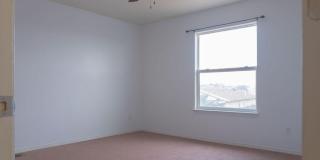 10736 Canyon Sage Drive Gallery 24