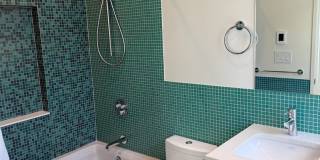 Silver Maple Stunning Gallery 23