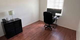 Gorgeous 3-Bedroom, 2-Bathroom in Brandon Gallery 14