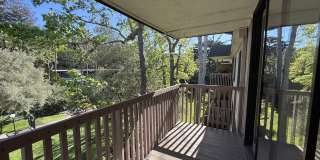 6351 Shelter Creek Lane - 1 Gallery 15