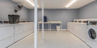 Belle Forest at Memorial Gallery 71