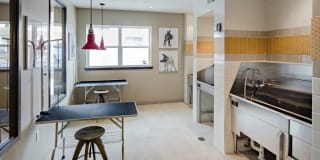 Avalon Princeton Gallery 30