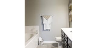 Spring Haven Gallery 14