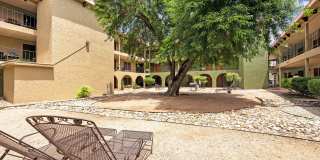 Kensington Court Gallery 59