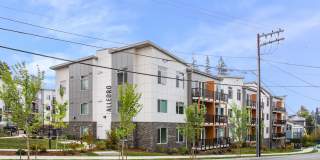 Allegro Lynwood Gallery 20