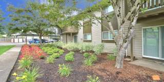 The Zimmer Gallery 16