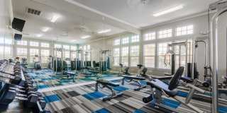 Park at Briggs Ranch Gallery 31