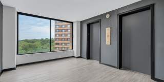 The Warwick Gallery 11