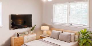 2336 Columbia Woods Court Gallery 10