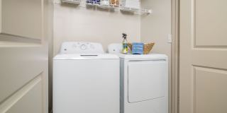 Ariza Corpus South Gallery 6