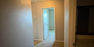 5 Bedroom on Falcon Gallery 30