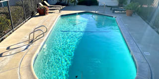 Palmwood Gardens Gallery 2