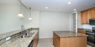 PET FRIENDLY UNFURNISHED ELEVATED PENTHOUSE LIVING WITH PRIVATE ELEVATOR Gallery 18