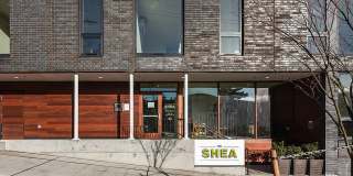 The Shea Gallery 1