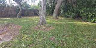 Deltona 4 Bedroom, 2 Bathroom - $1,895.00 Gallery 18
