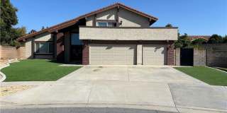 1515 Conestoga Court Gallery 1