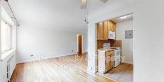 733 E 2nd Ave #304 733 E 2nd Ave #304 Gallery 1