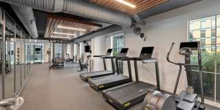 Atlantic on Romney Atlantic on Romney Gallery 5