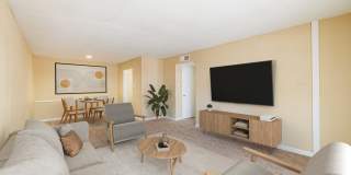 Prestonwood Gallery 5