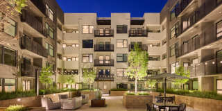 The Lafayette Gallery 49