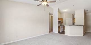 Carrington Park at Lake Lanier Gallery 30