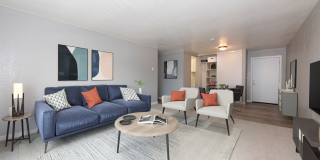 Woodland Park Gallery 3