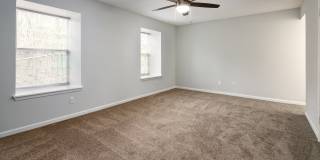 Hidden Colony Gallery 3