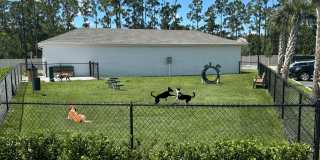 Pointe at Palm Bay Gallery 91