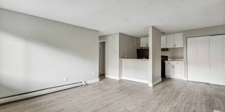 Park at Palmer Gallery 47