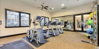 McKenzie at Natomas Park Gallery 21