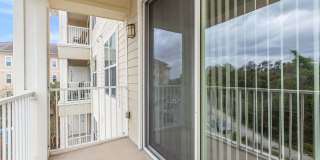 RIZE at Winter Springs Gallery 174