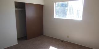 5013 Dyer Ln Gallery 4