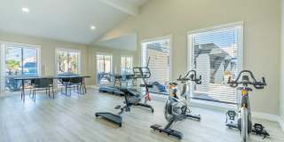 Rise Lakeside Gallery 88