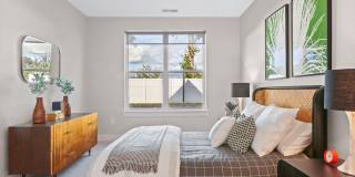 Canter Green Gallery 15