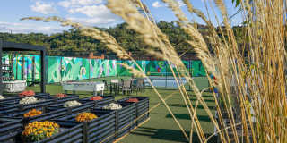 The District Gallery 34