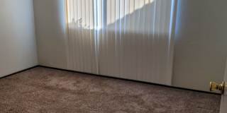 No Deposit Gallery 12