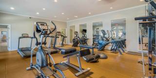 Wynfield Trace Gallery 25