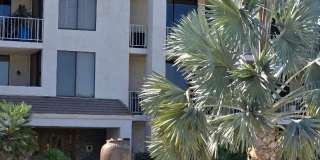 910 Island Gallery 1