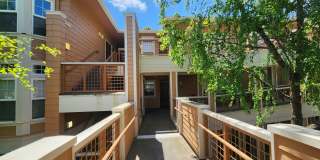 Beautiful Brisbane condo Gallery 35