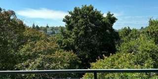 152 Coronado Avenue Gallery 2