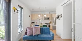 Live near Takoma Park Gallery 11
