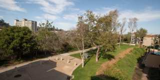 2 Bedrooms | 2 Bathrooms | Shoppers Paradise Gallery 5