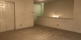 8758 PARK OLYMPIA Gallery 15