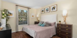 Advenir at Wynstone Gallery 6