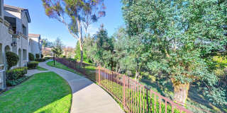 Elan Riverwalk Gallery 9